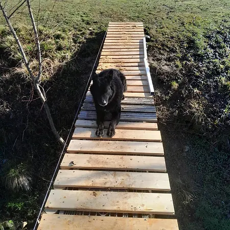 Alloggi Nicole Σπίτι διακοπών *